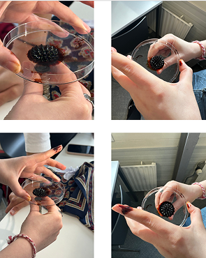 Ferrofluid interaction with magnet