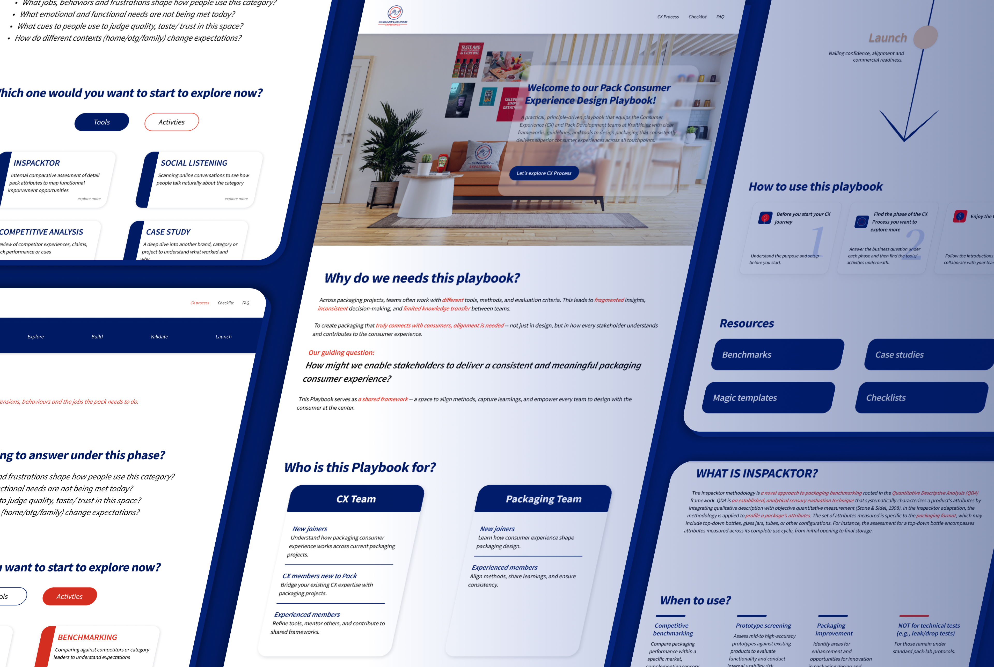 Website overview for the Pack Consumer Experience Playbook